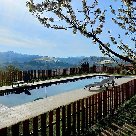 Poggio Mirteto La Casa Nettarinaゲストハウス エクステリア 写真