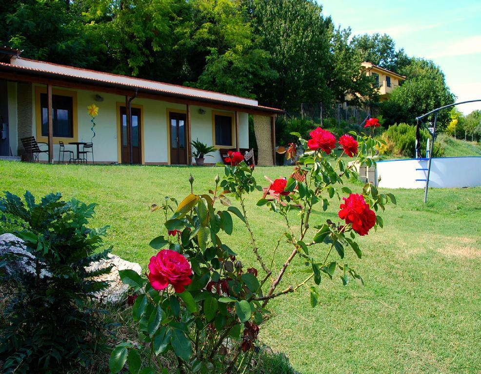 Poggio Mirteto La Casa Nettarinaゲストハウス エクステリア 写真
