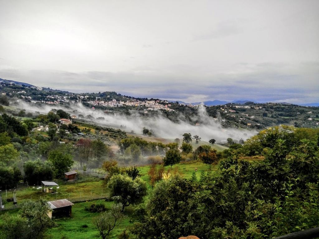 Poggio Mirteto La Casa Nettarinaゲストハウス エクステリア 写真